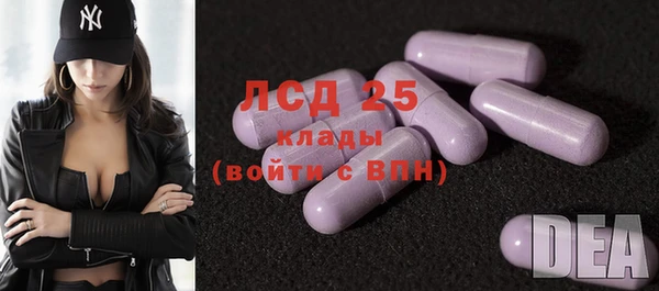 стаф Белоозёрский