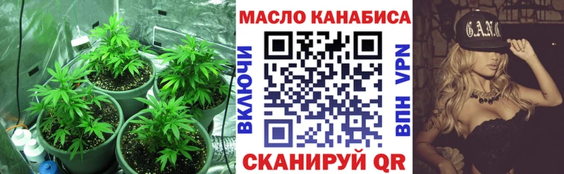 где найти   Плёс  ТГК гашишное масло 