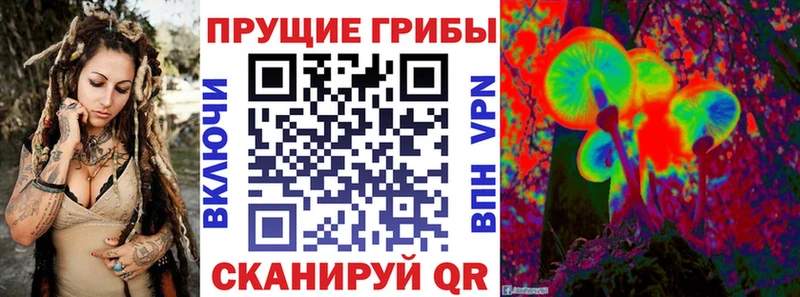 купить наркотик  Плёс  OMG зеркало  Галлюциногенные грибы ЛСД 